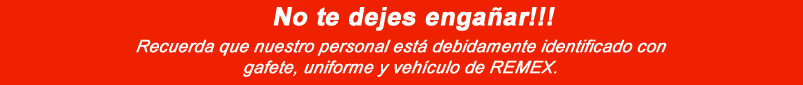 equipo de seguridad REMEX